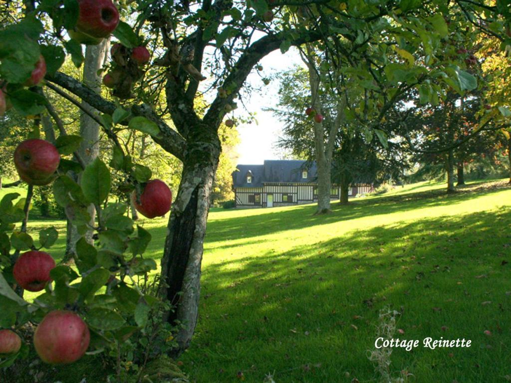 Les Fermes De Florence Bien Etre Et Nature 莱斯尚蓬 客房 照片